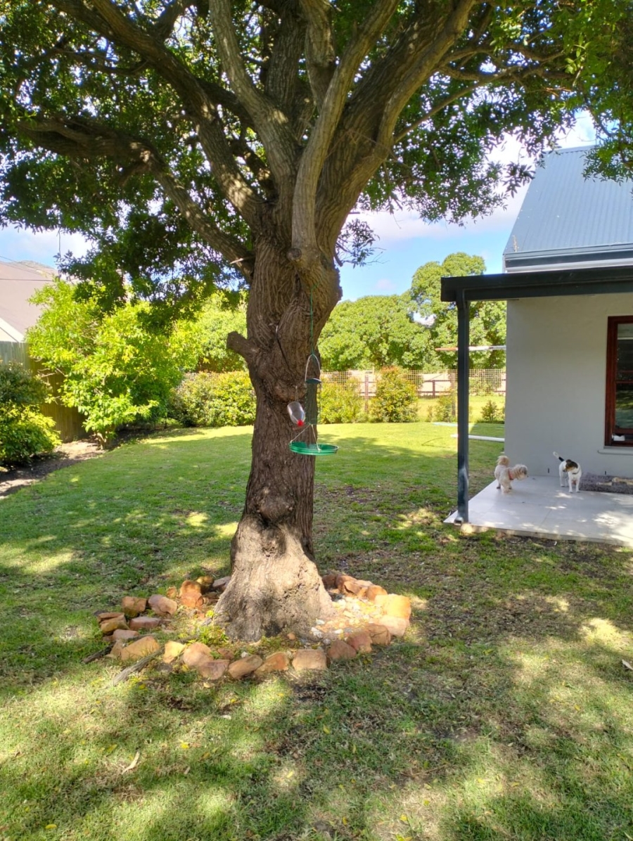 To Let 1 Bedroom Property for Rent in Chapman